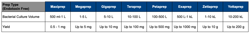 MC Plasmid DNA Purification Service